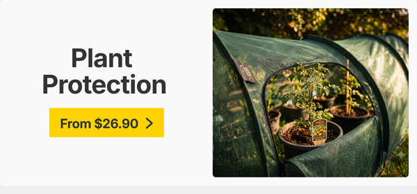 Plant Protection 