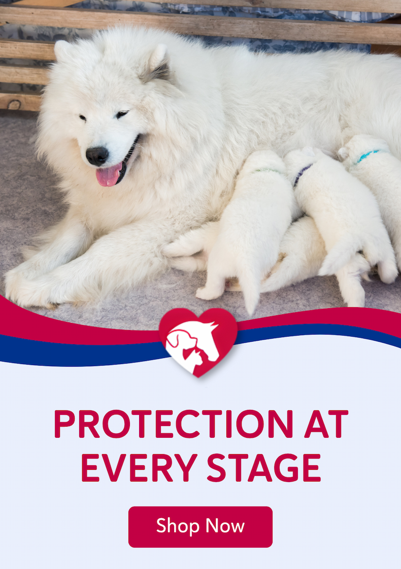 Protection at Every Stage