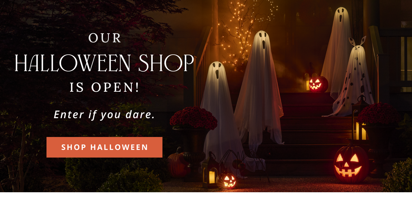 Shop our NEWEST Halloween collection