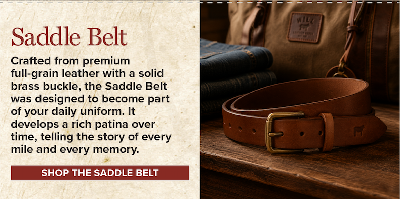 Saddle Belt