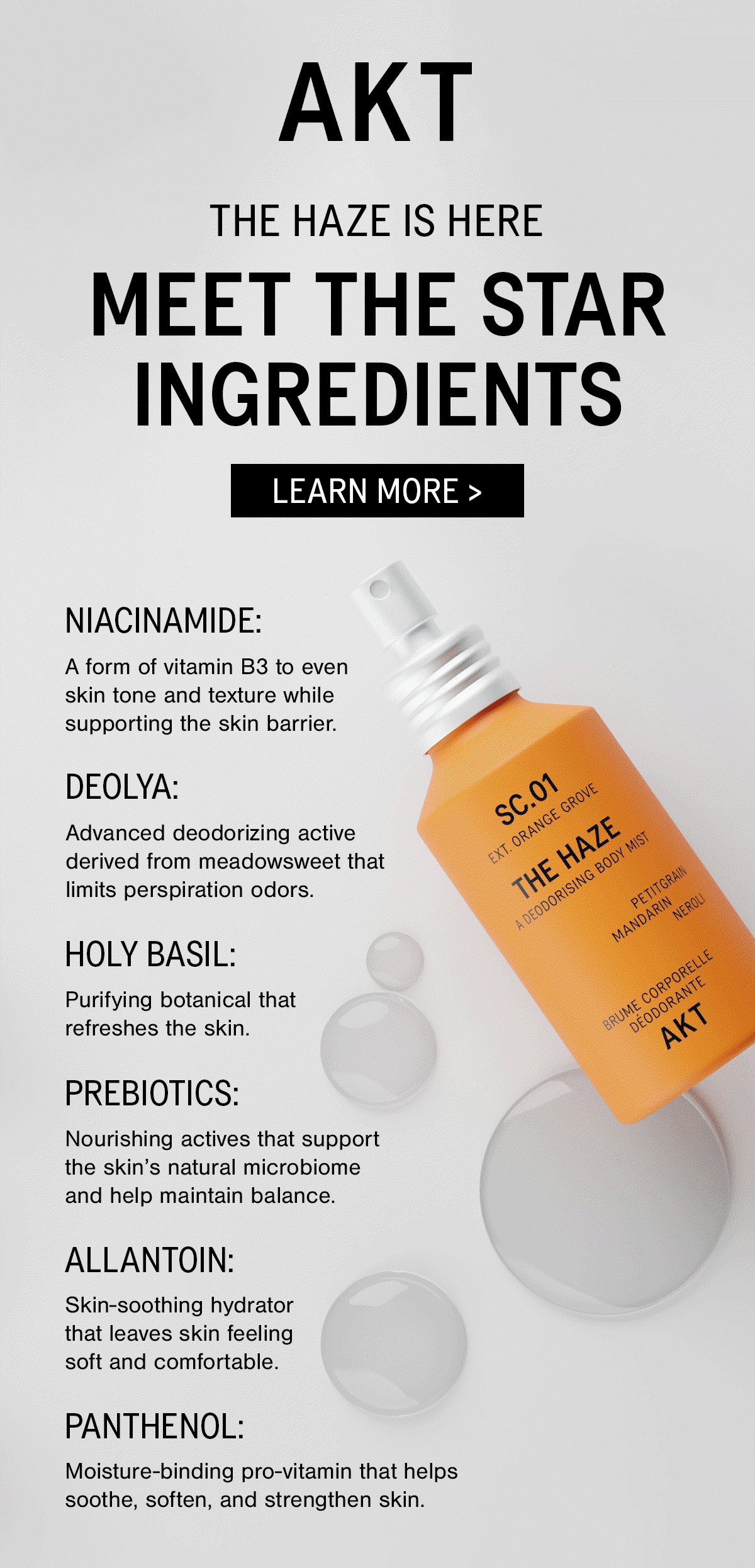 MEET THE STAR INGREDIENTS OF THE HAZE