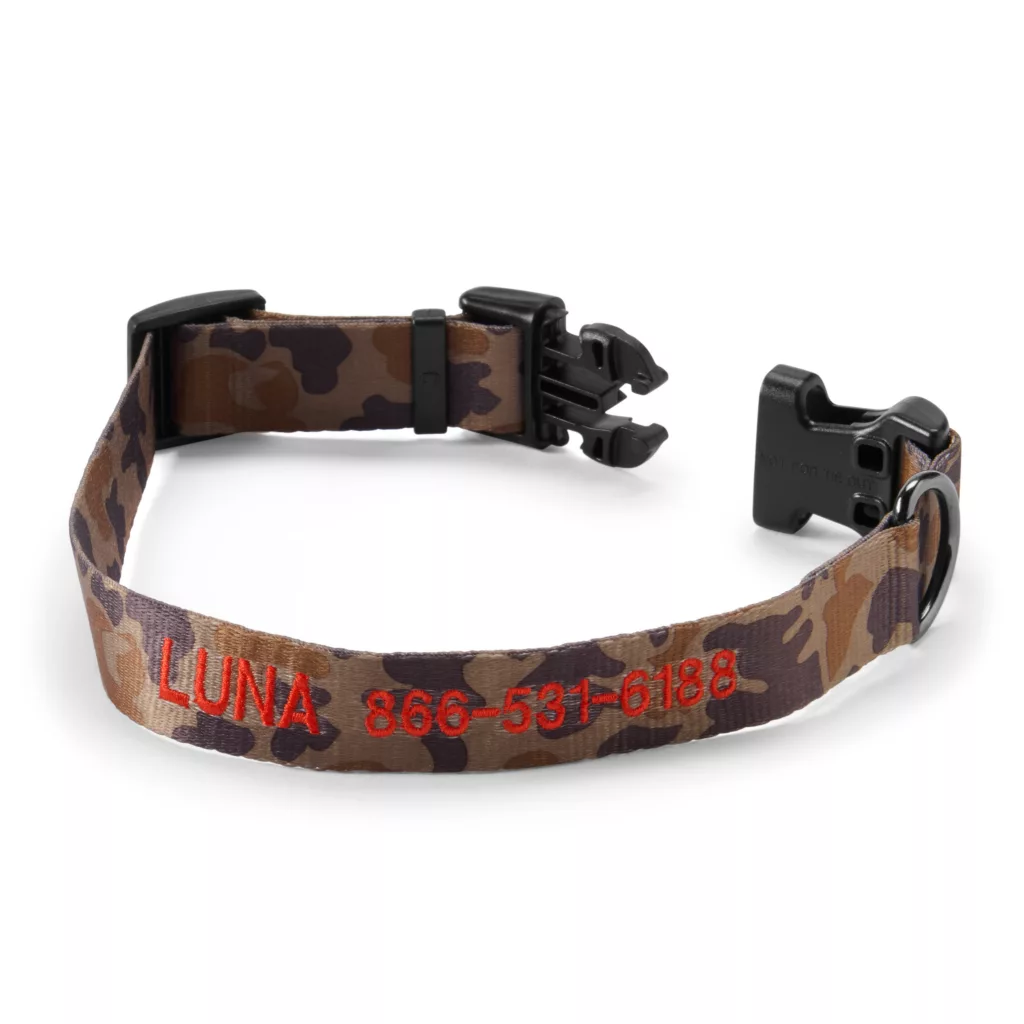 Personalized Side-Release Buckle Collar & Leash