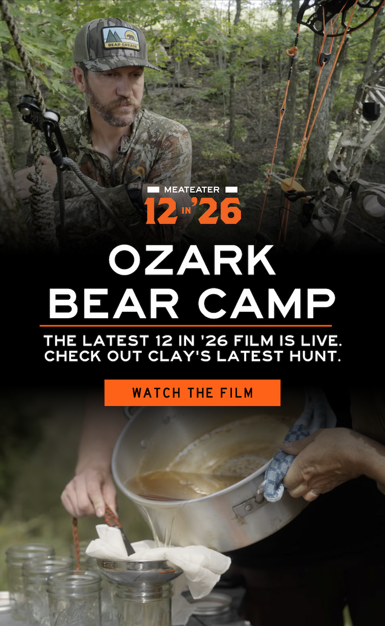 Ozark Bear Camp