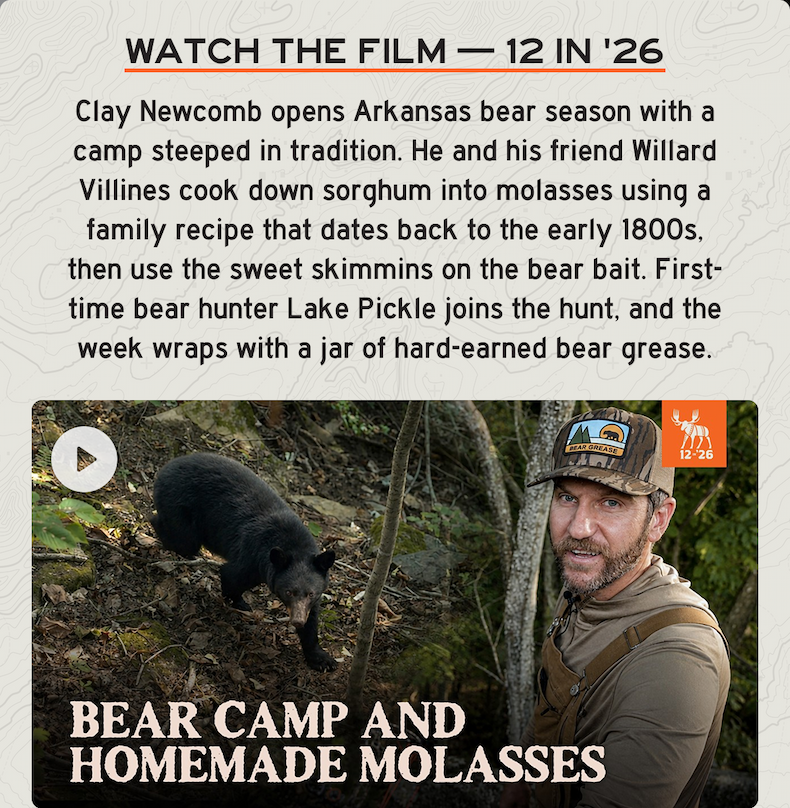 Watch the film