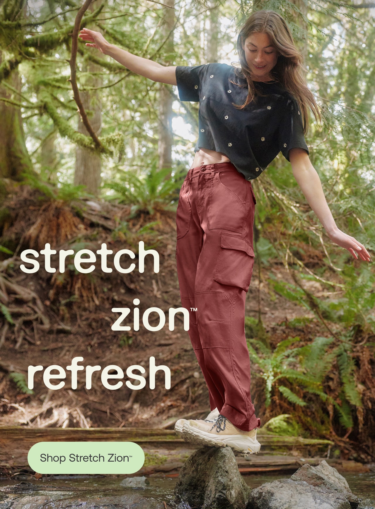 shop stretch zion