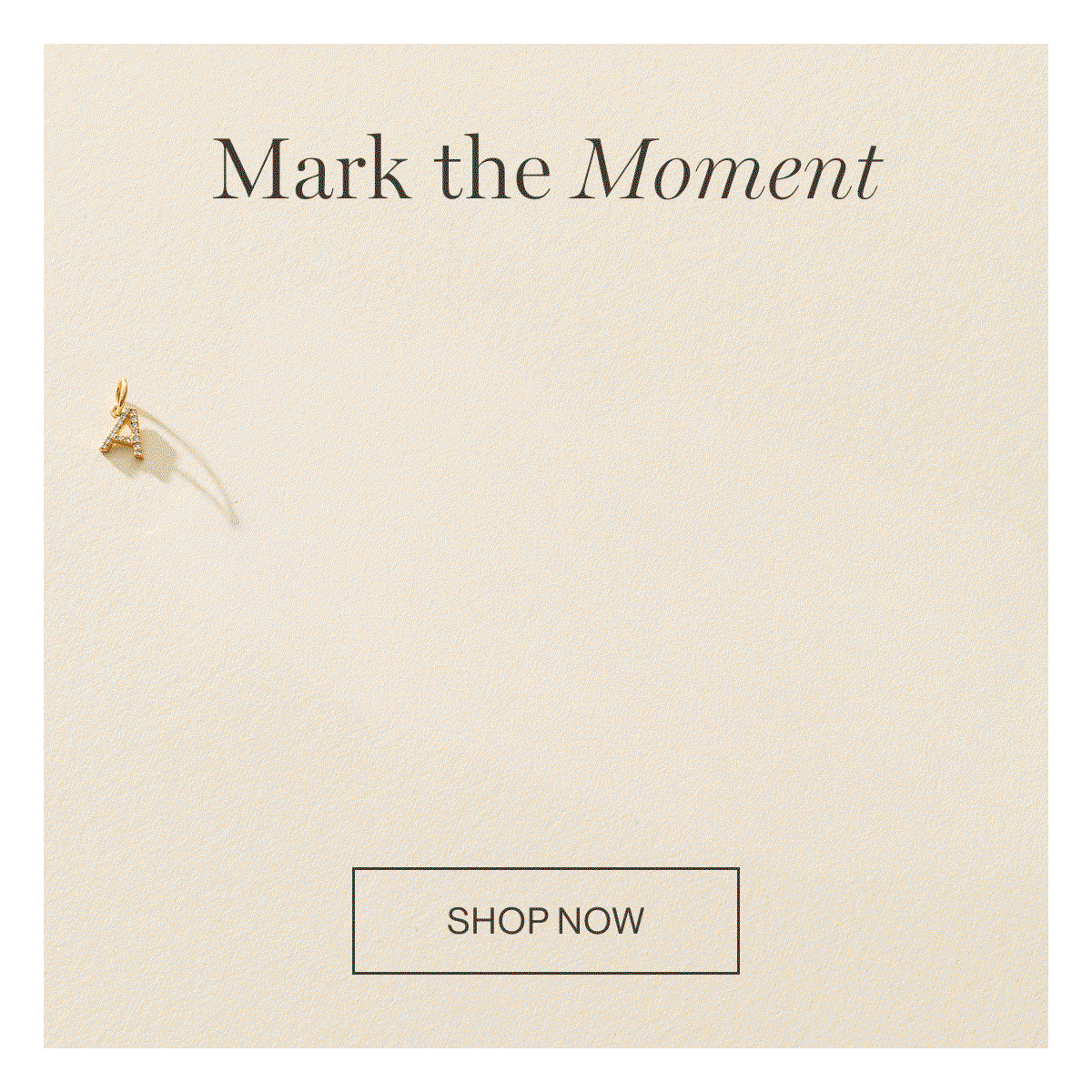 SHOP NOW