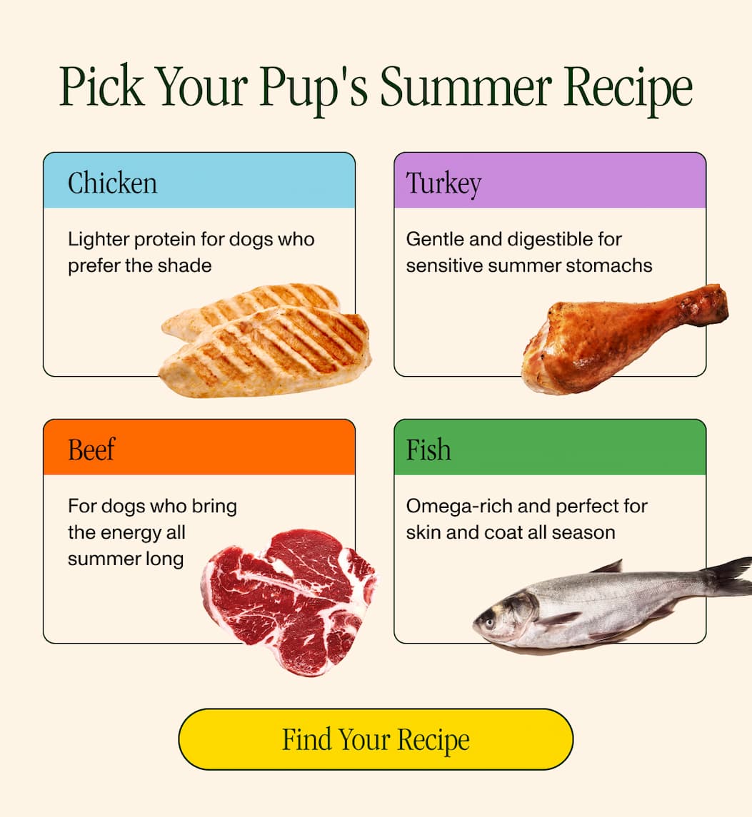 Find Your Recipe