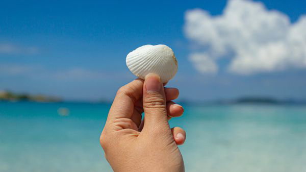 Ces mauvaises habitudes à la plage peuvent vous valoir une lourde amende