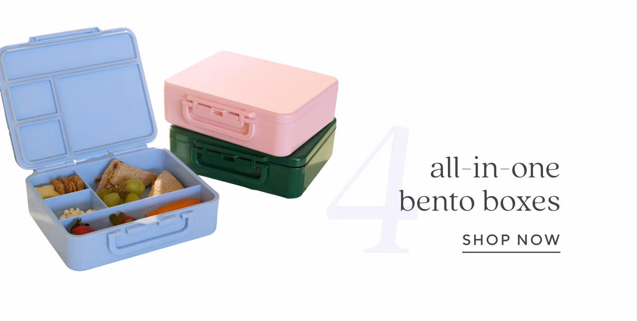 all-in-one bento boxes