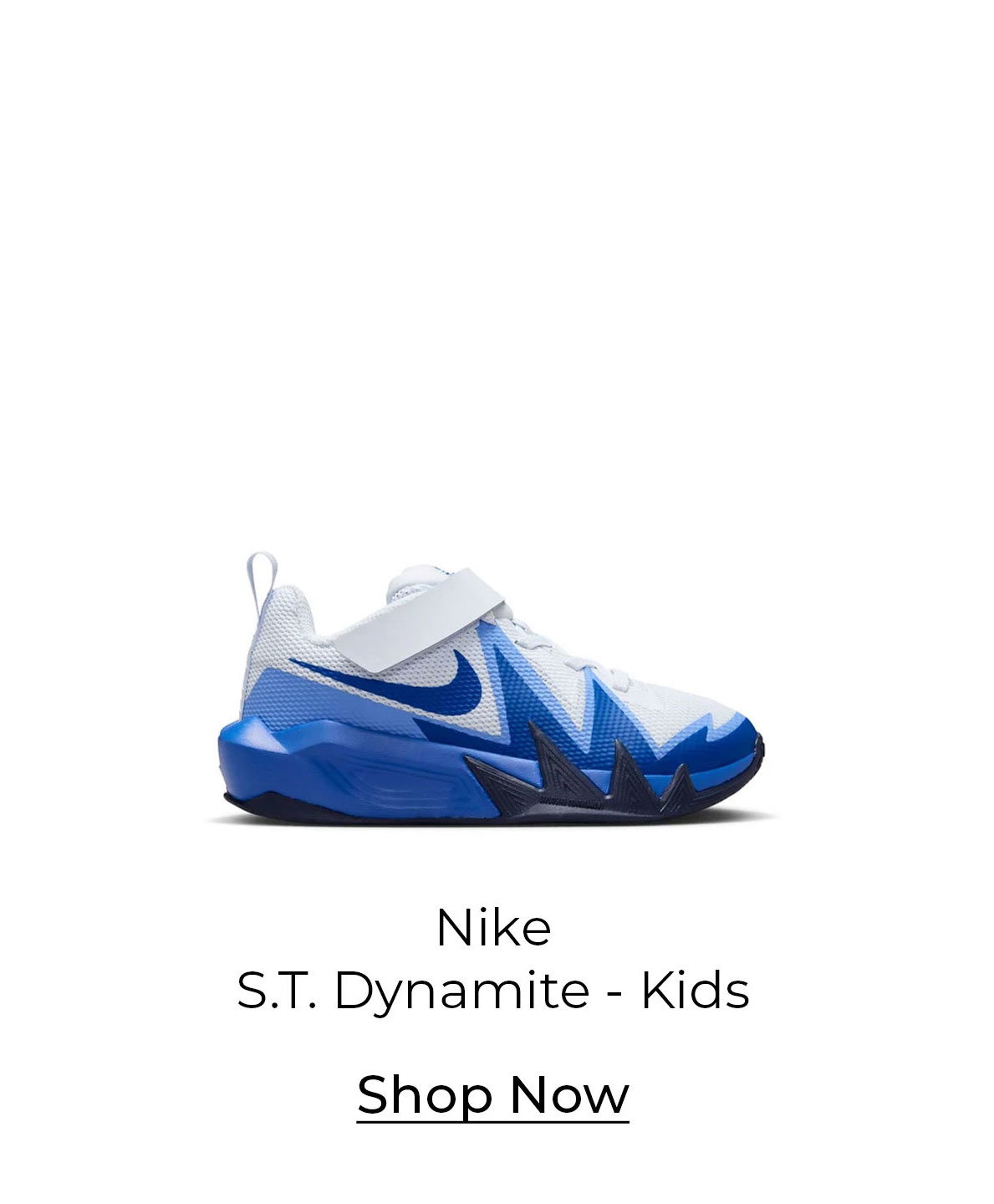 Nike S.T. Dynamite
