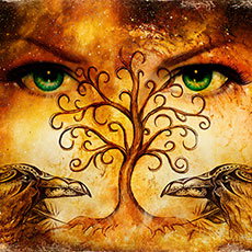 Celtic Mythology Diploma Course image
