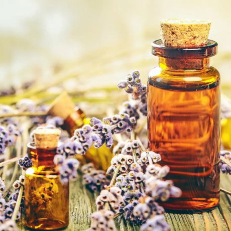 Bach Flower Remedies Diploma Course image