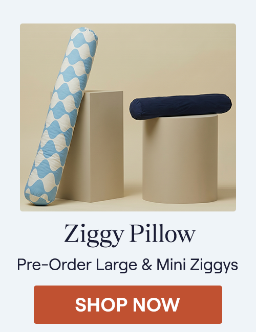 The Mini Ziggy sitting on a pillar and the Large Ziggy leaning against a pillar