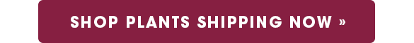 Shop Plants Shipping Now
