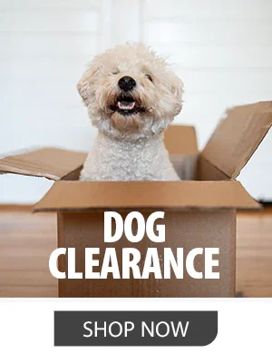 Shop Dog Clearance
