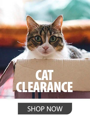 Shop Cat Clearance