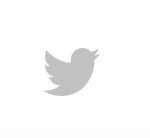 Twitter Lucchese