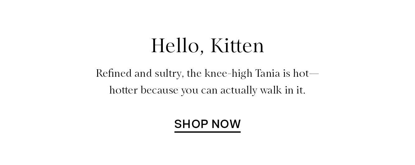 Hello, Kitten - Shop Now