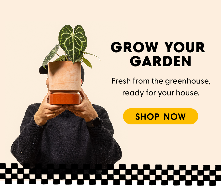 GROW YOUR GARDEN. Fresh from the greenhouse, ready for you. See what's new this week. Click here to shop now