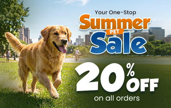 Summer Sale 20% OFF on all orders