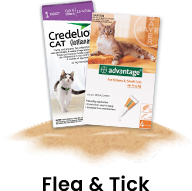 Flea & Tick