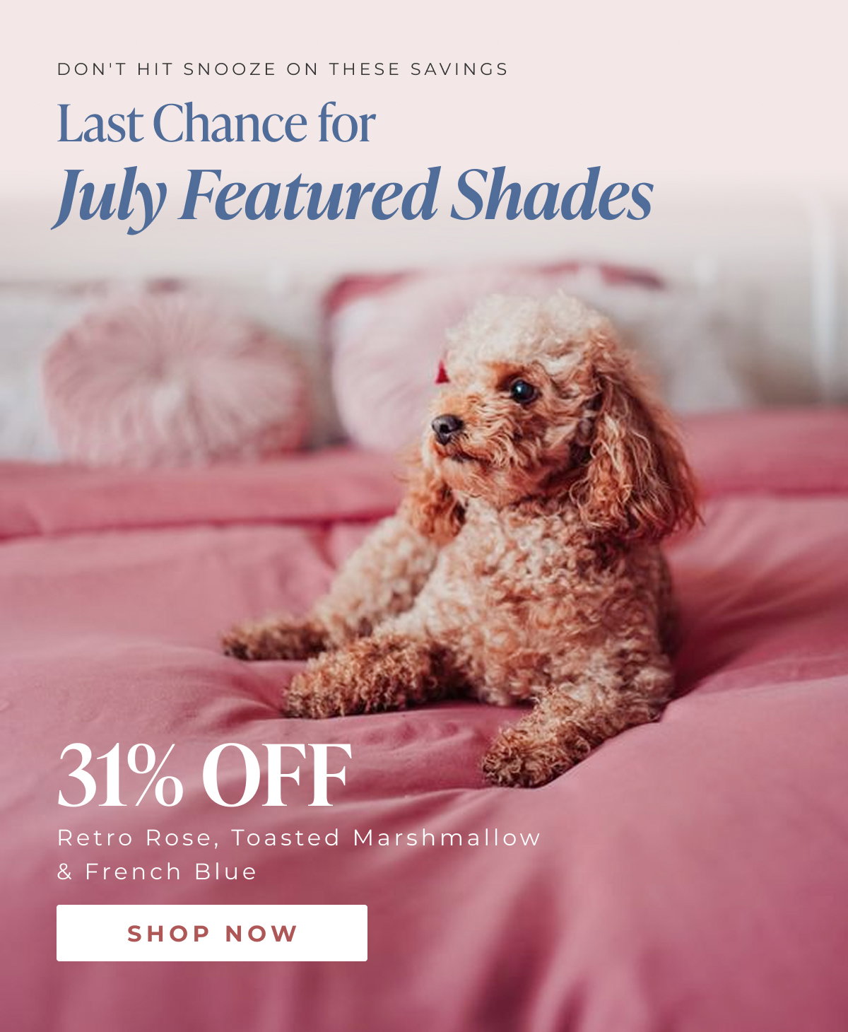 Shop Now 31% OFF Retro Rose, Toasted Marshmallow & French Blue