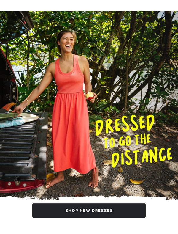 Shop New Dresses