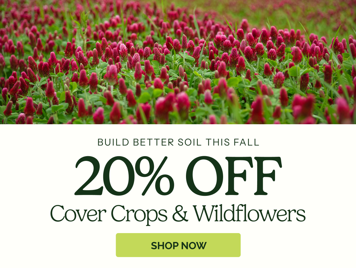 20% Off Cover Crops & Wildflowers - Build Better Soil This Fall
