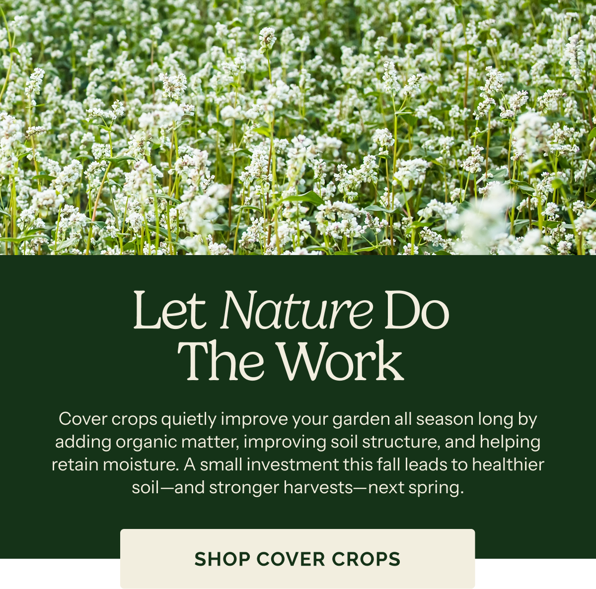 Let Nature Do The Work – Cover crops quietly improve your garden all season long by adding organic matter, improving soil structure, and helping retain moisture. A small investment this fall leads to healthier soil—and stronger harvests—next spring. SHOP COVER CROPS