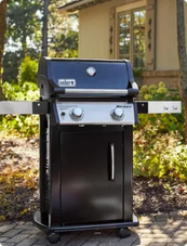 Spirit E-215 | GBS |  Weber
