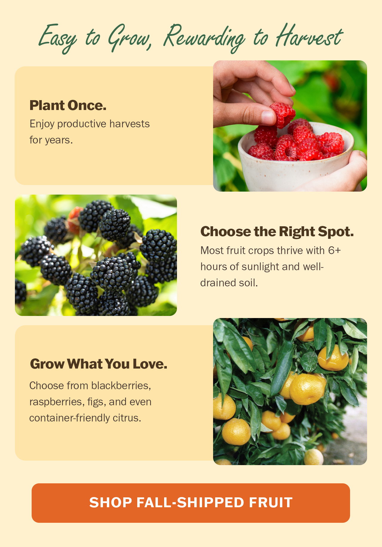 Shop fall-shipped fruit