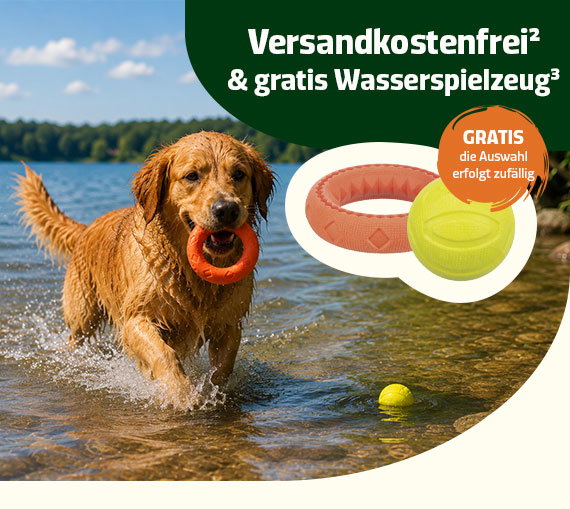 Versandkostenfrei bestellen + gratis Wasserspielzeug