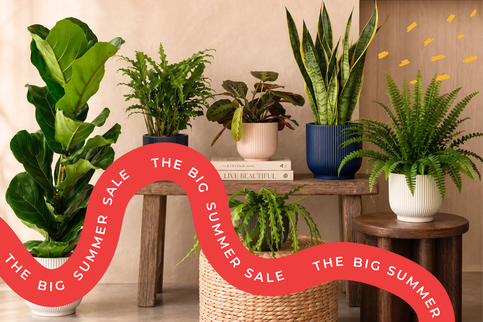 A red ribbon with "The Big Summer Sale" text overlays an image of houseplants.