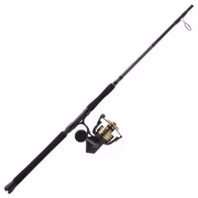 PENN Battle IV Boat Spinning Combo - 7' - 6000