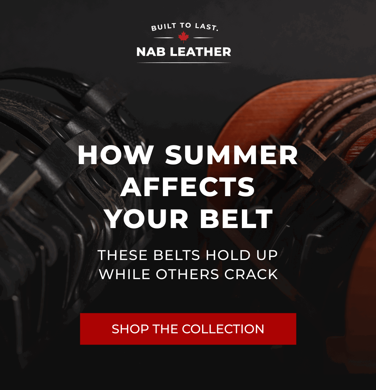 Shop The Collection