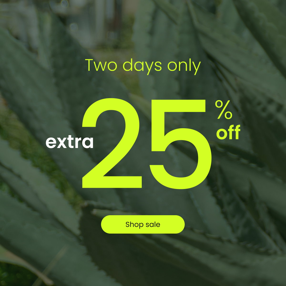 [ SHOP SALE ]