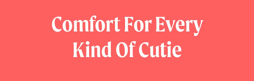 Comfort for Every Kind of Cutie
