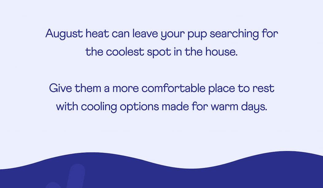 August heat can leave your pup searching for the coolest spot in the house.