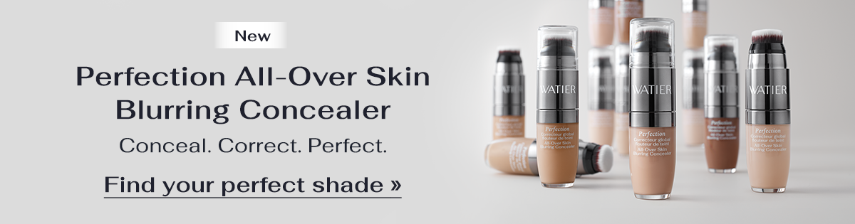 Perfection All-Over Skin Blurring Concealer