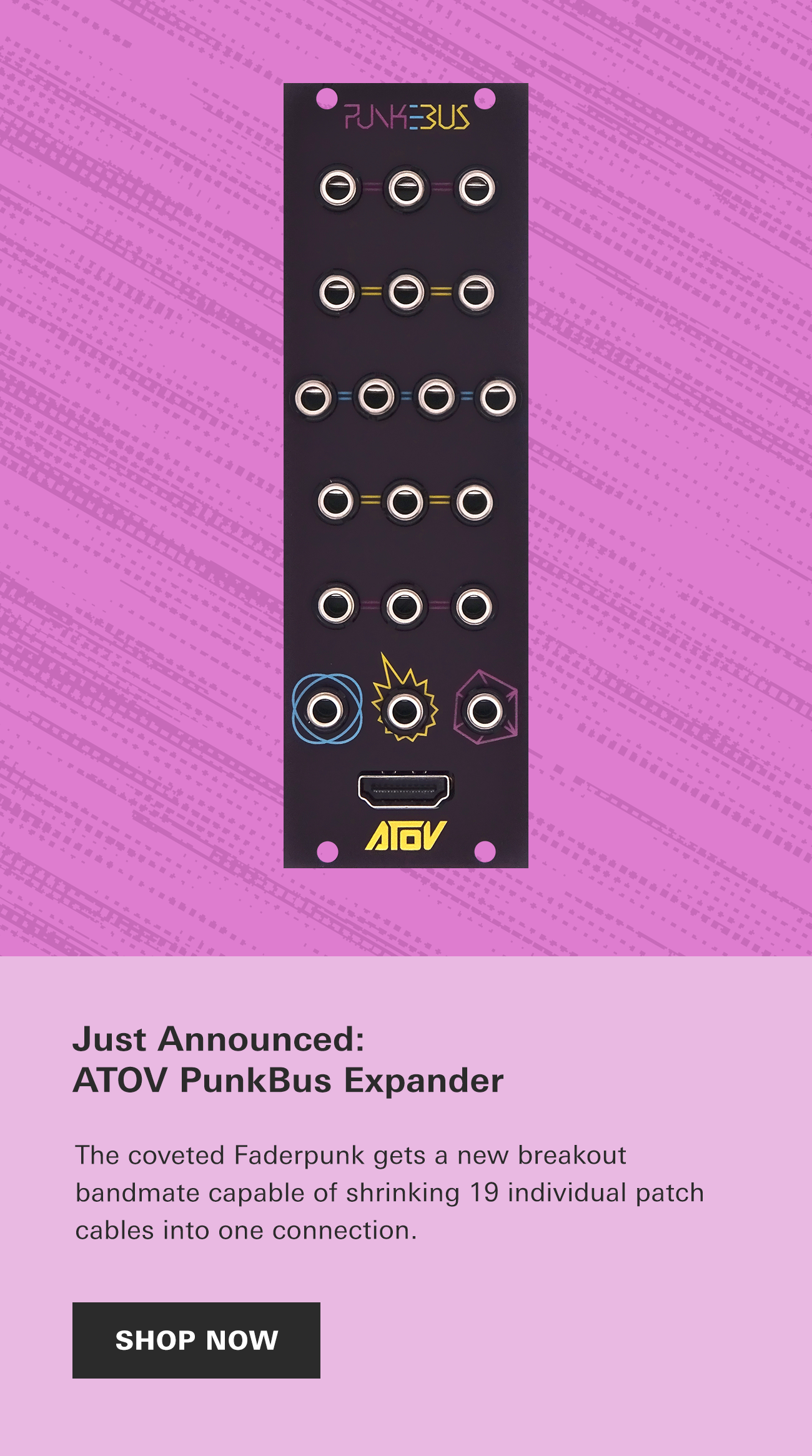 Just Announced: ATOV PunkBus Expander