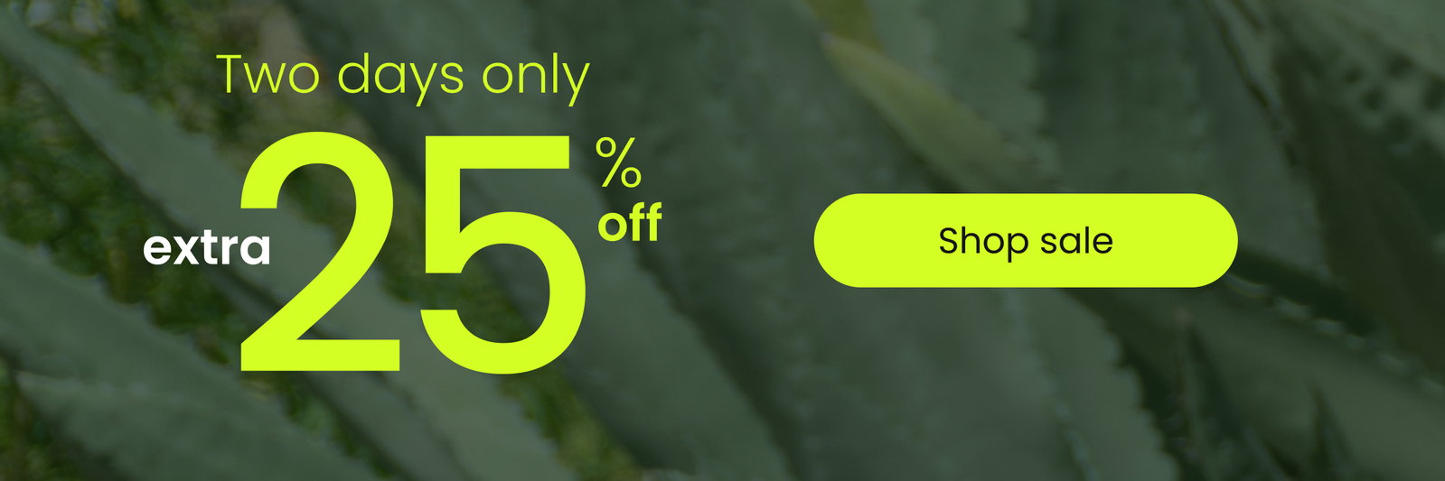 [ SHOP SALE ]