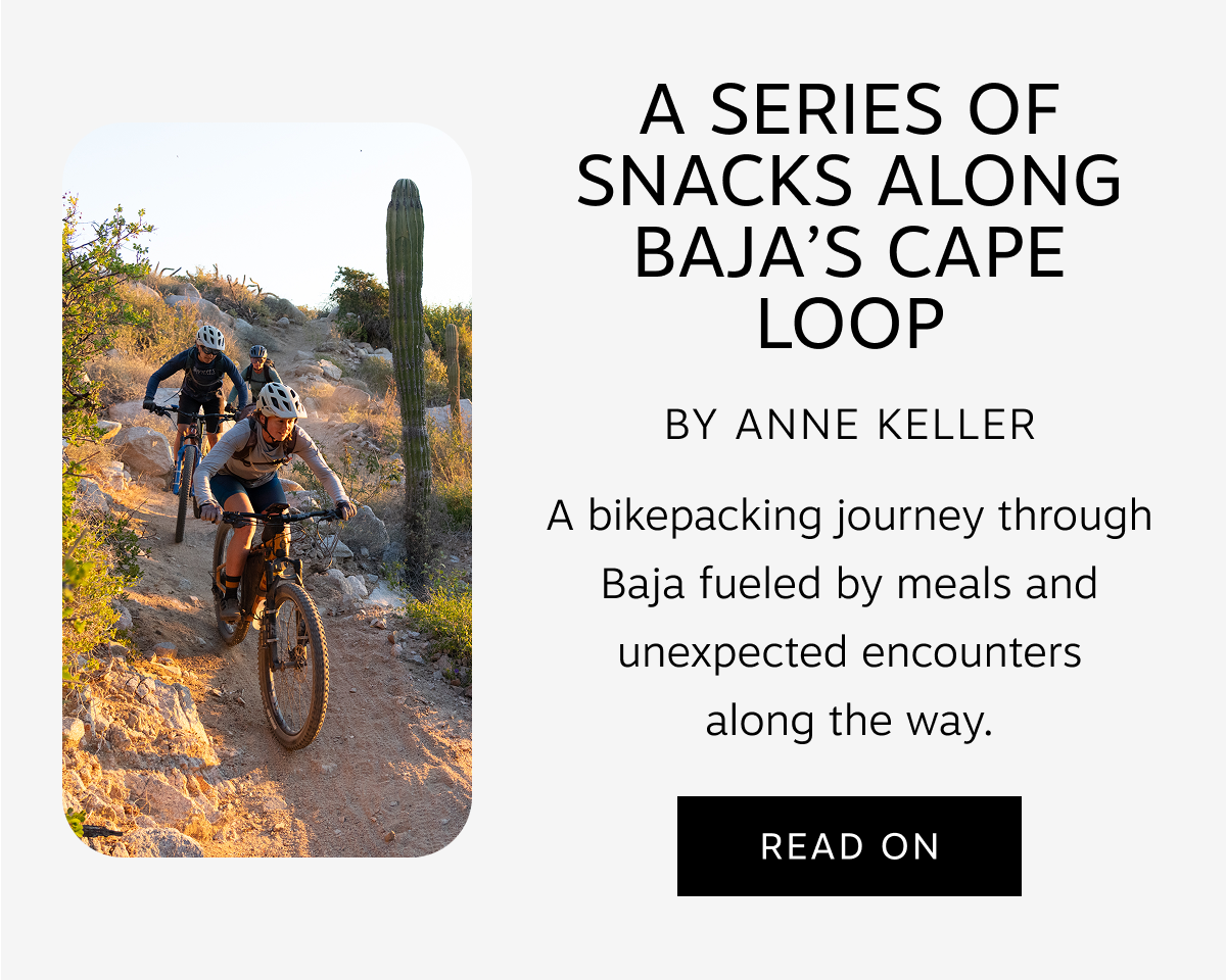 Read A Series of Snacks Along Baja's Cape Loop by Anne Keller