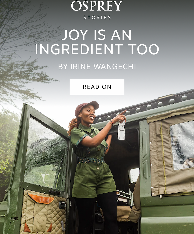 Read Joy Is an Ingredient Too by Irine Wangechi
