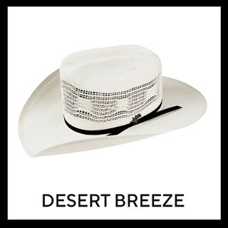 Desert Breeze 