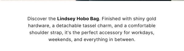 Discover the Lindsey Hobo Bag 