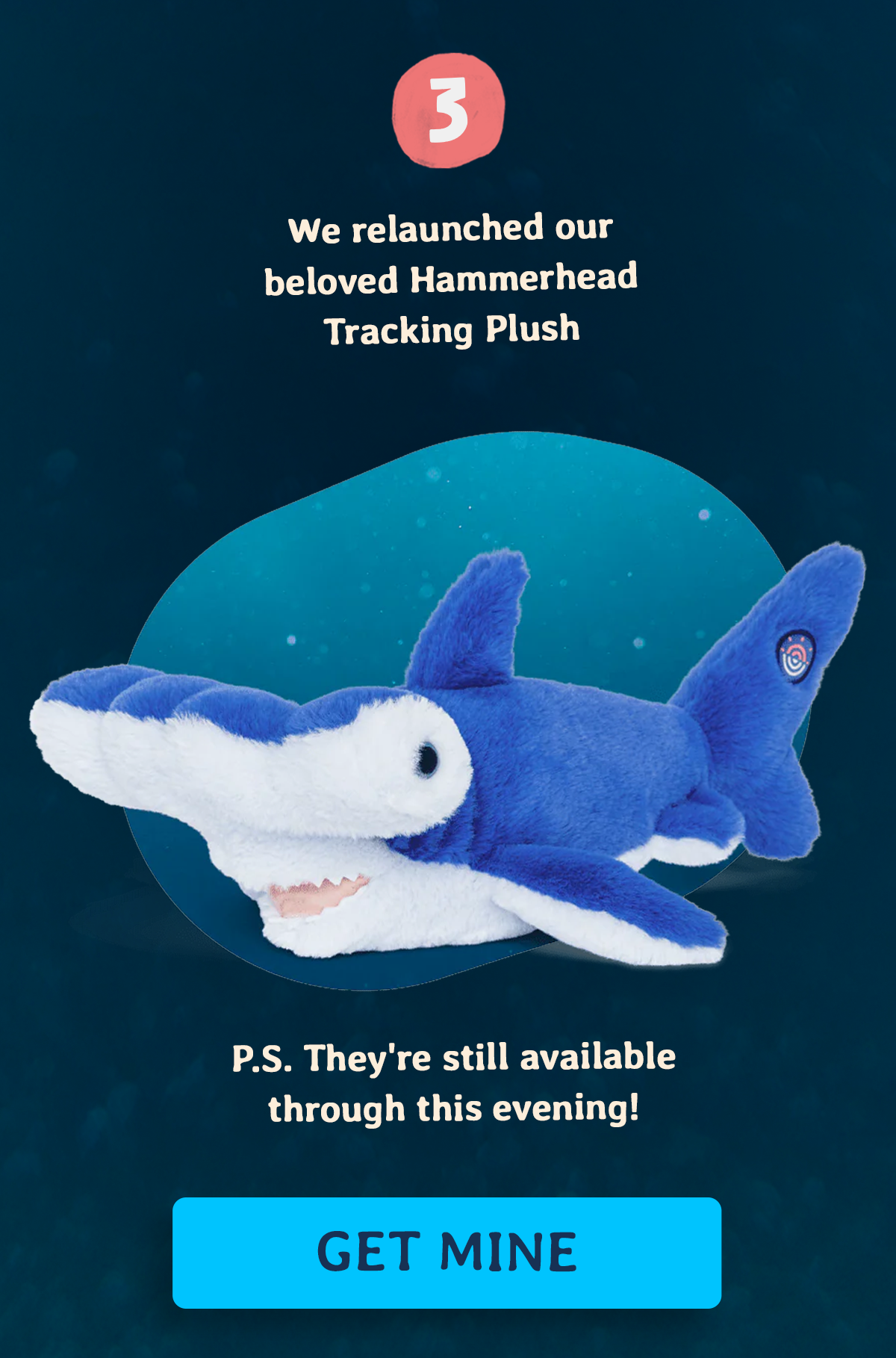 Every purchase has allowed us to give back to our nonprofit partners working in the field to protect sharks. Thank you for making our biggest Shark Month yet possible.