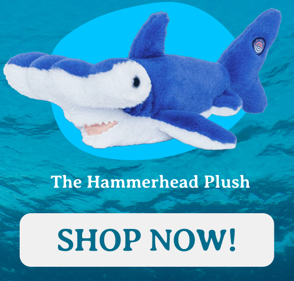 The Hammerhead Plush. This is a limited time drop and ending soon!