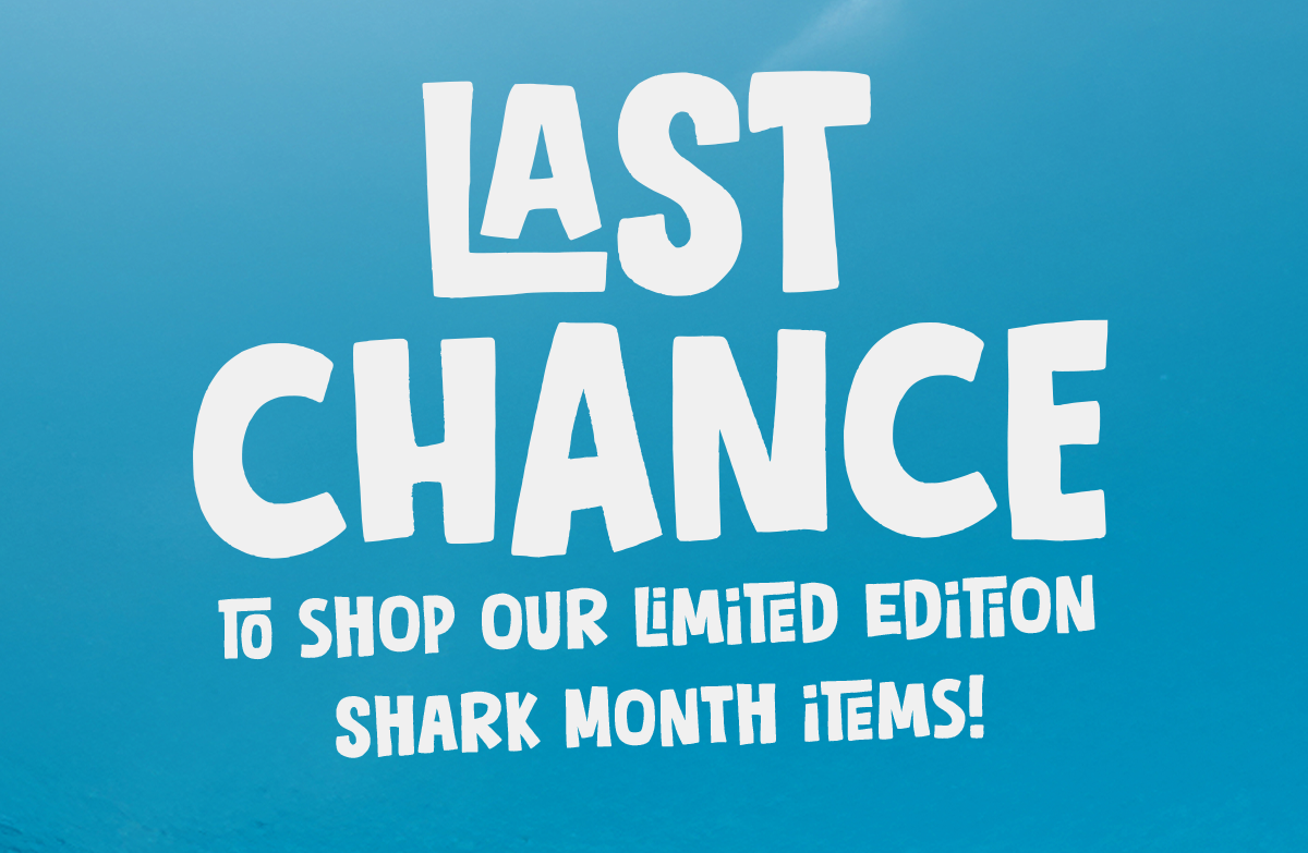 This is your last chance to shop our hammerhead shark collection! Shop now!