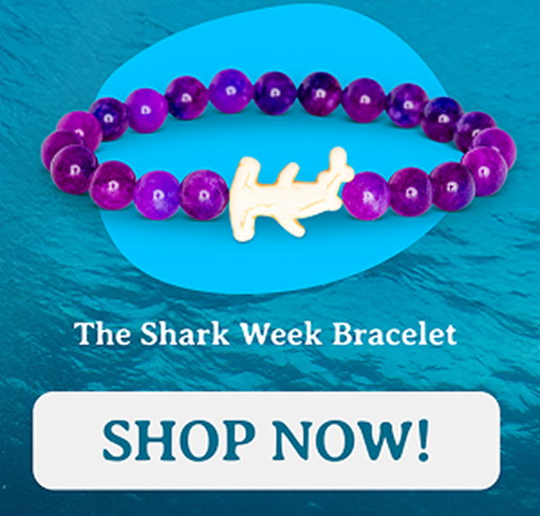 The Shark Week Bracelet. This is a limited time drop and ending soon!