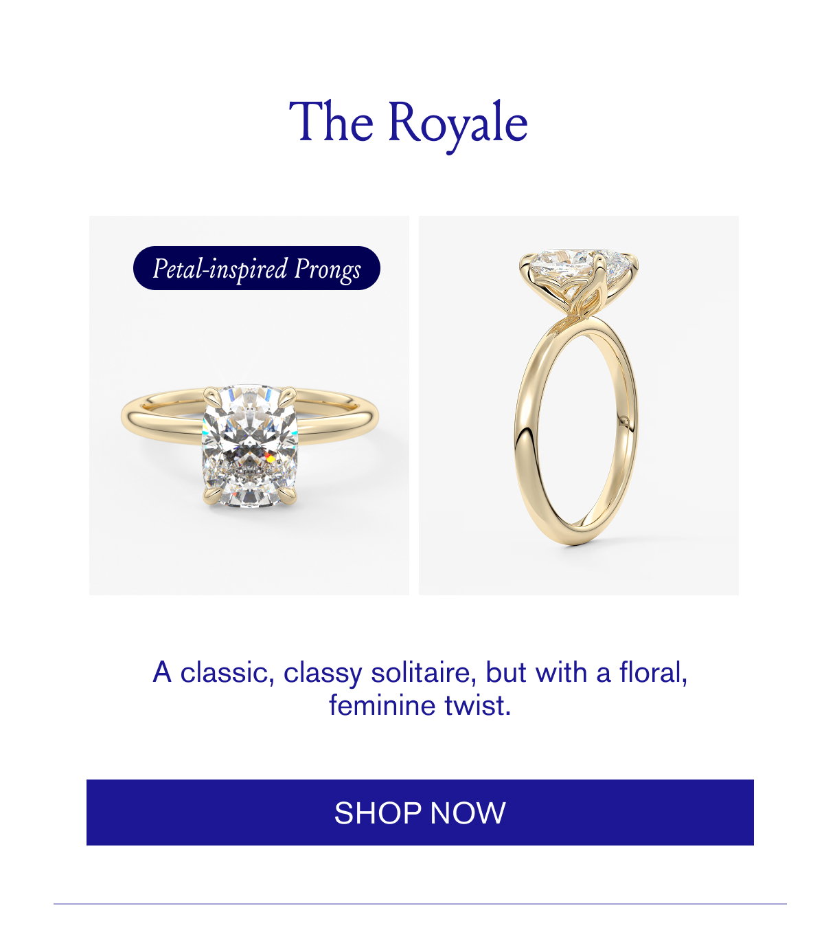 shop now